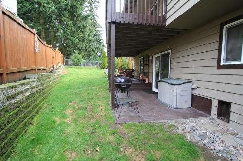 Lower level fireplace